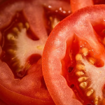 Híbridos de tomate de mesa “Prodigio”